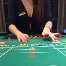 vipcom bet